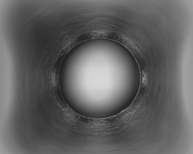 X0000116660819200912211505