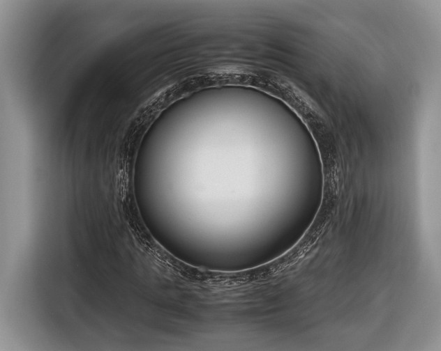 X0000116660821200912211505