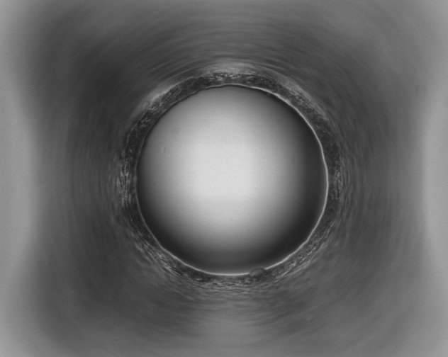 X0000116660822200912211505