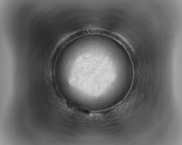 X0000116660823200912211505