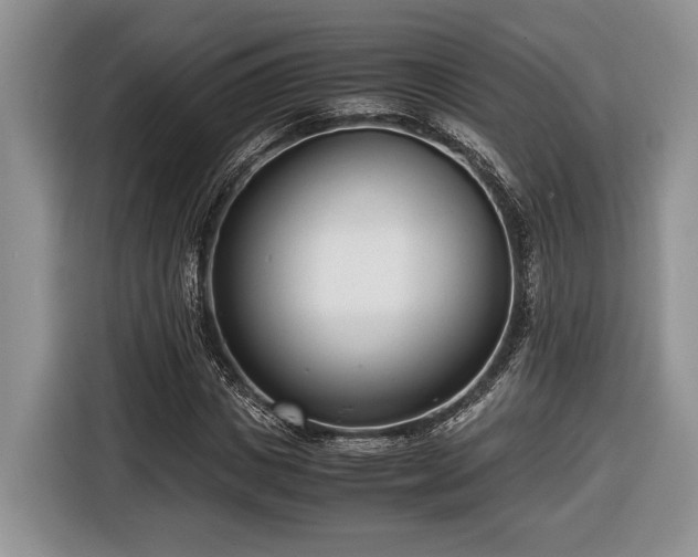 X0000116660825200912211505