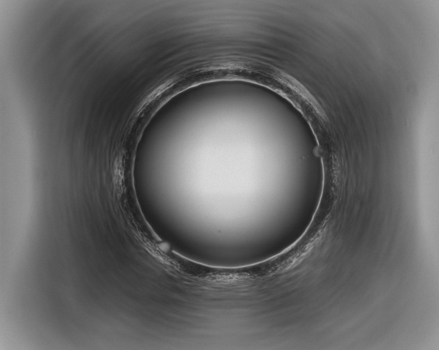 X0000116660826200912211505