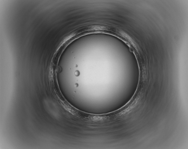 X0000116660827200912211505