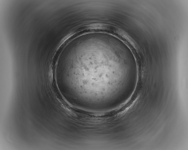 X0000116660829200912211505