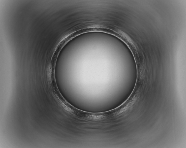 X0000116660831200912211505