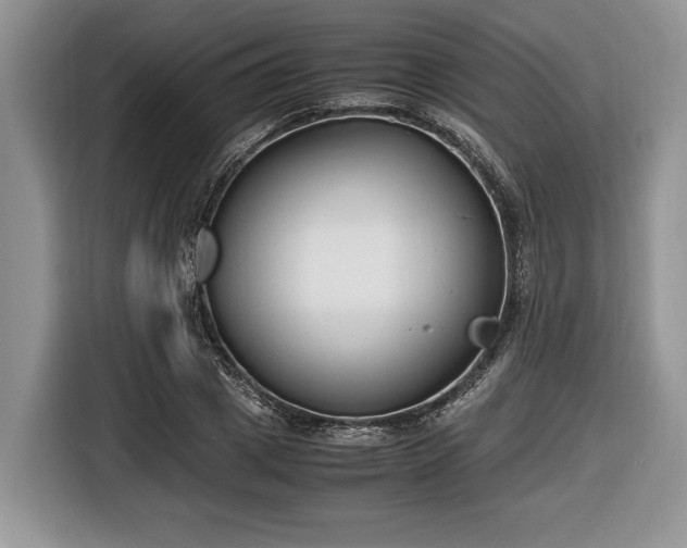 X0000116660833200912211505