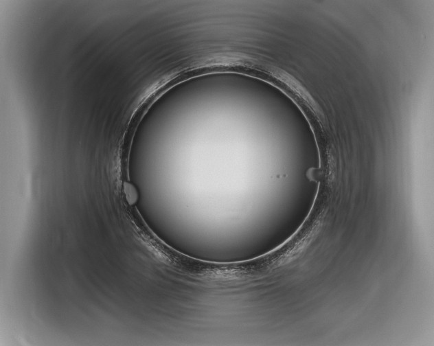 X0000116660834200912211505