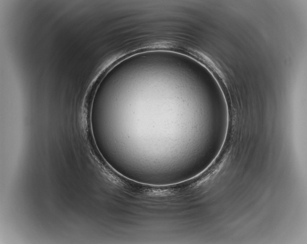 X0000116660835200912211505