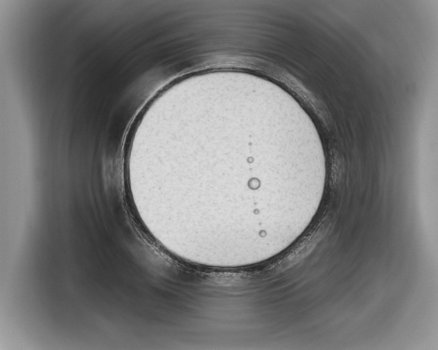 X0000116660836200912211505