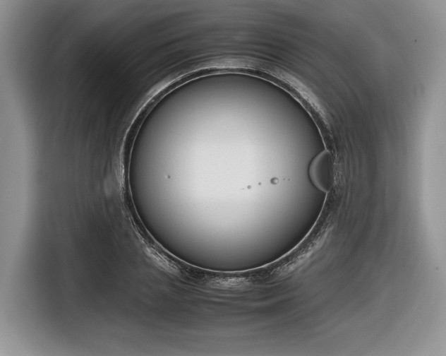 X0000116660837200912211505