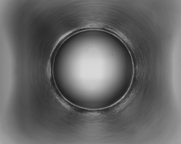 X0000116660838200912211505