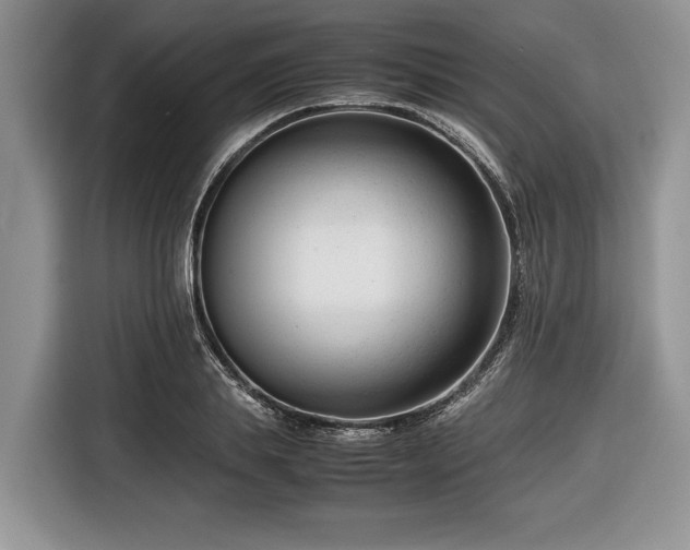 X0000116660839200912211506