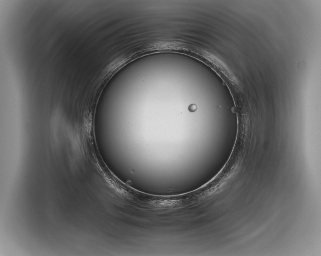 X0000116660841200912211506