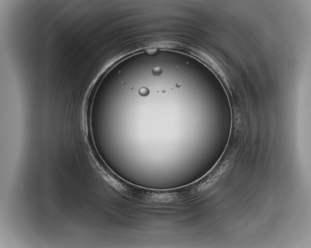 X0000116660843200912211506