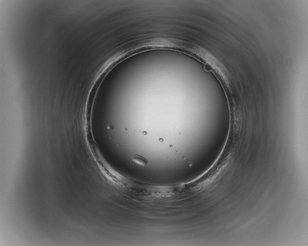 X0000116660845200912211506