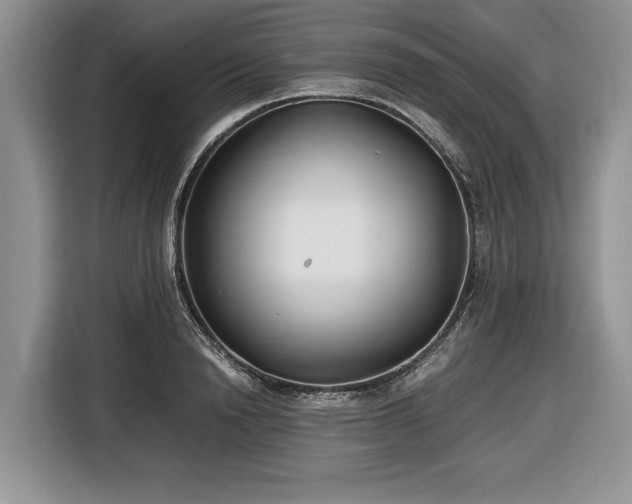 X0000116660846200912211506