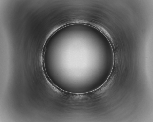 X0000116660847200912211506