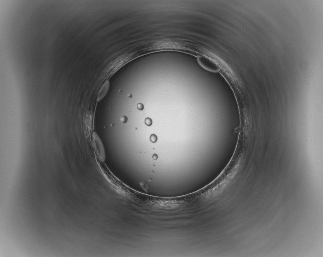 X0000116660849200912211506