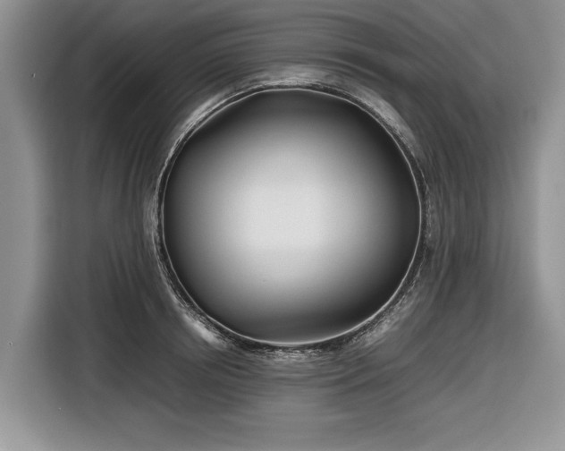 X0000116660850200912211506