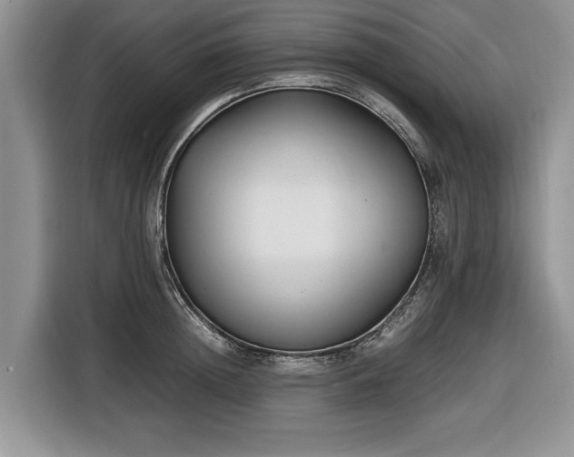 X0000116660852200912211506