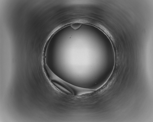 X0000116660853200912211506