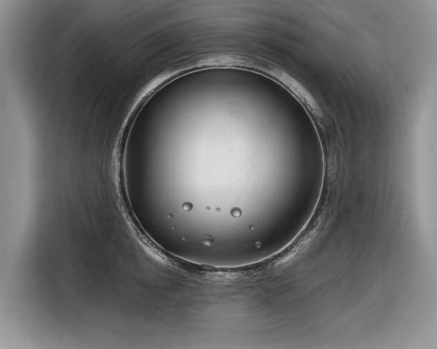 X0000116660854200912211506