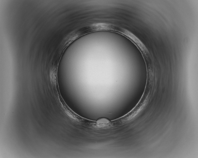 X0000116660857200912211506