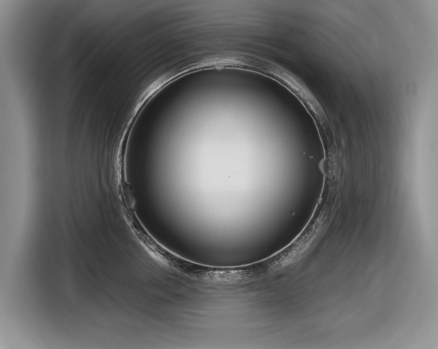 X0000116660858200912211506