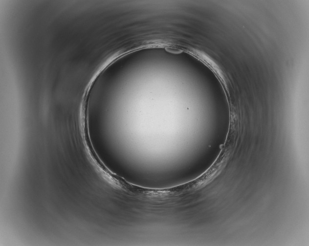 X0000116660859200912211506