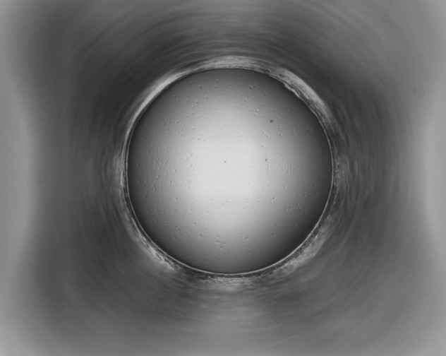 X0000116660860200912211506