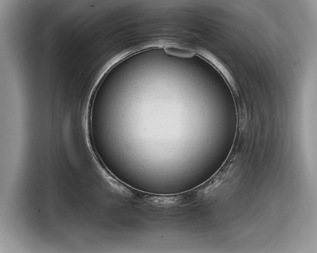 X0000116660861200912211506