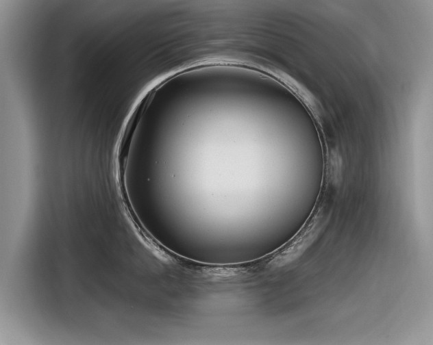 X0000116660862200912211506