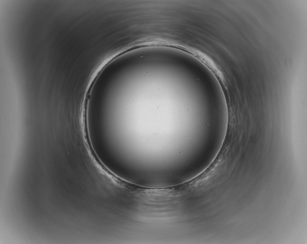 X0000116660863200912211506