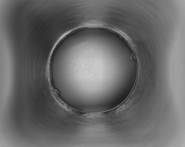 X0000116660864200912211506