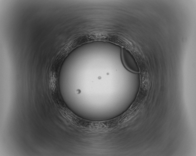 X0000116660866200912211505