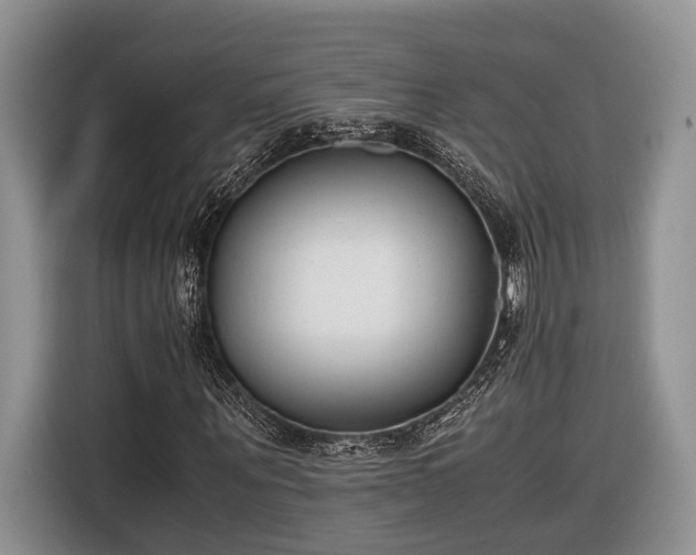 X0000116660867200912211505