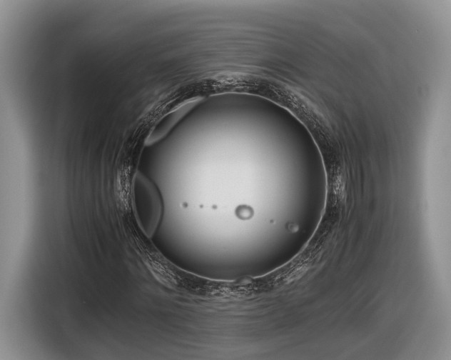 X0000116660868200912211505