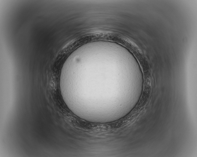 X0000116660869200912211505