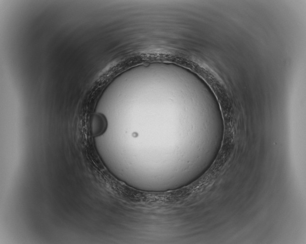 X0000116660870200912211505