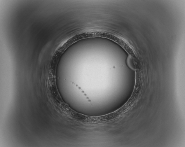 X0000116660871200912211505