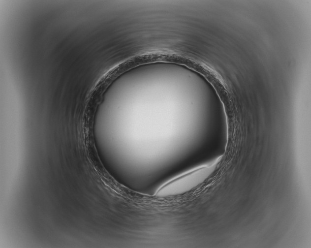 X0000116660872200912211505