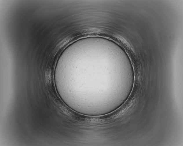 X0000116660873200912211505