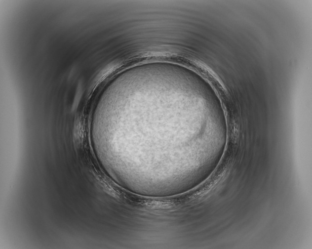 X0000116660874200912211505