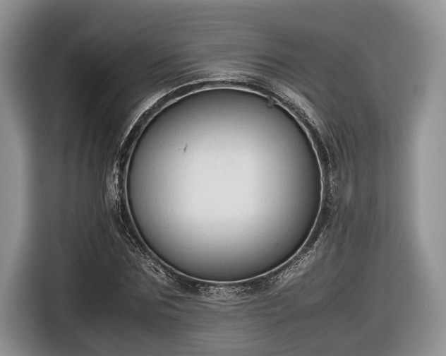 X0000116660875200912211505