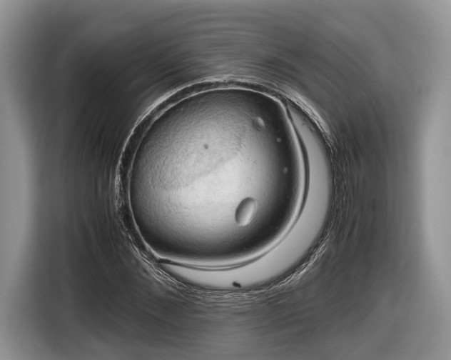 X0000116660876200912211505