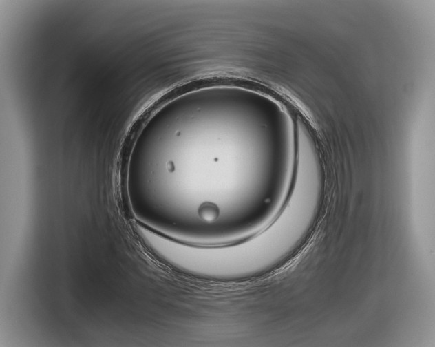 X0000116660877200912211505