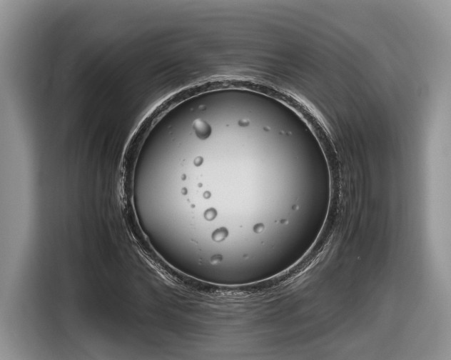 X0000116660878200912211505