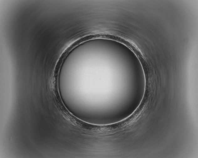 X0000116660879200912211505