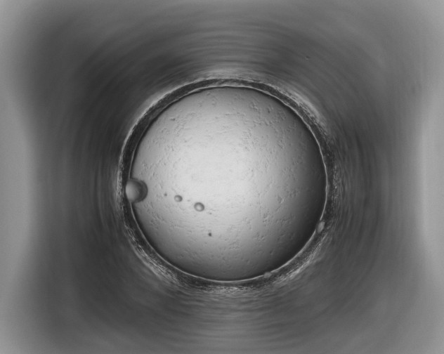 X0000116660880200912211505