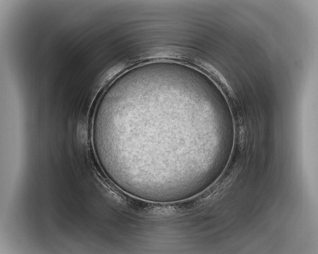 X0000116660882200912211505